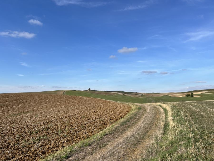 Feldweg, der sich zwischen gepflügten und grünen Feldern über sanfte Hügel zieht